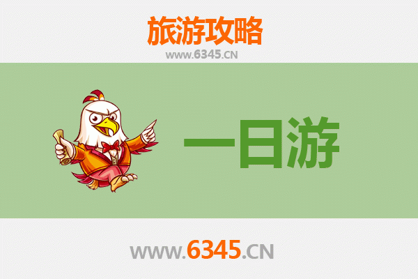 儋州华南热带植物学院一日游攻略：探索热带植物王国，预算与行程全解析